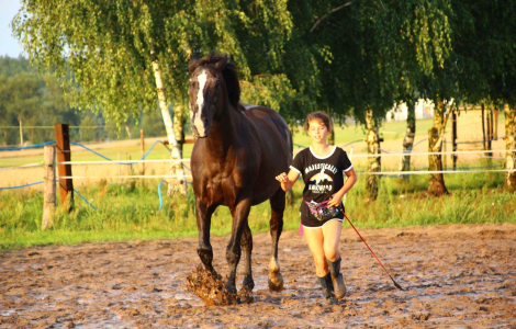 Wszechstronny Naturalny Trening Koni