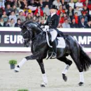 FÜRSTENBALL  Fürst Heinrich – Donnerhall – Classiker v. Calypso II