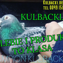 Produkty NATURALNE Kulbacki