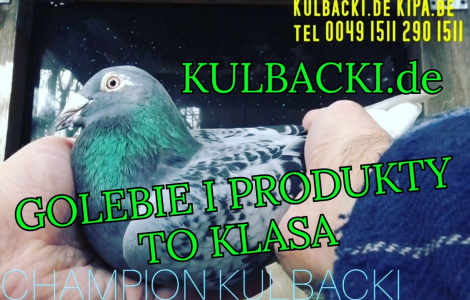 Produkty NATURALNE Kulbacki