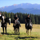 Stajnia Konsul – Zakopane