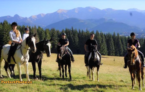 Stajnia Konsul – Zakopane